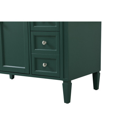 Elegant 42" Single Bathroom Vanity Set - Green (VF12542GN)