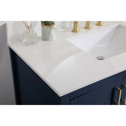 Elegant Bathroom Vanity - Blue (VF16042BL-BS)