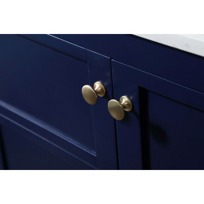 Elegant Bathroom Vanity - Blue (VF16460BL)