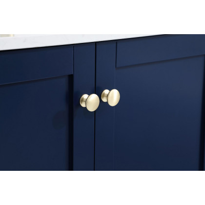 Elegant Bathroom Vanity - Blue (VF18030BL-BS)