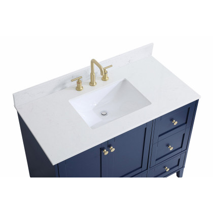 Elegant Bathroom Vanity - Blue (VF18042BL-BS)