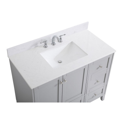 Elegant Bathroom Vanity - Gray (VF18042GR-BS)