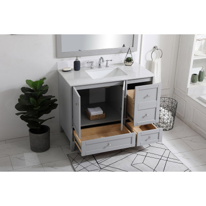 Elegant Bathroom Vanity - Gray (VF18042GR-BS)
