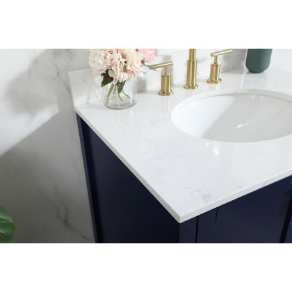 Elegant Bathroom Vanity - Blue (VF18830BL-BS)