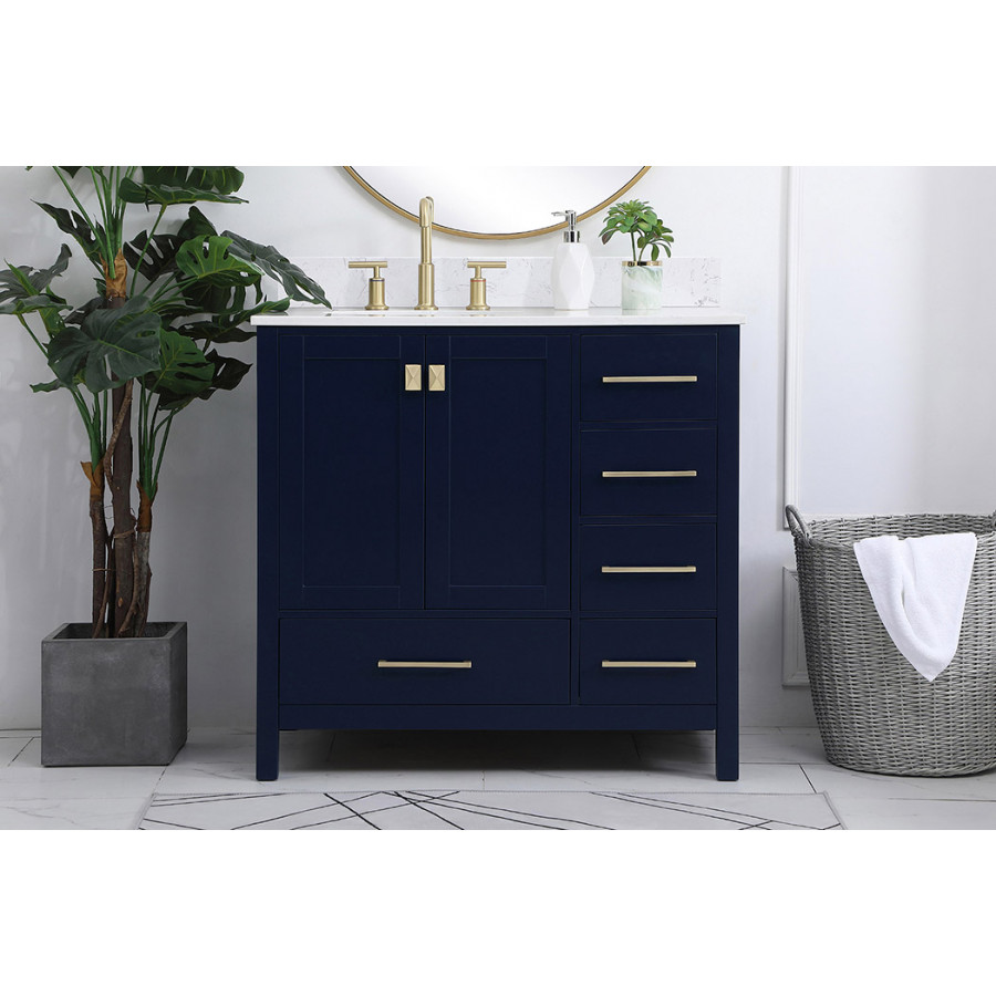 Elegant Bathroom Vanity - Blue (VF18836BL-BS)