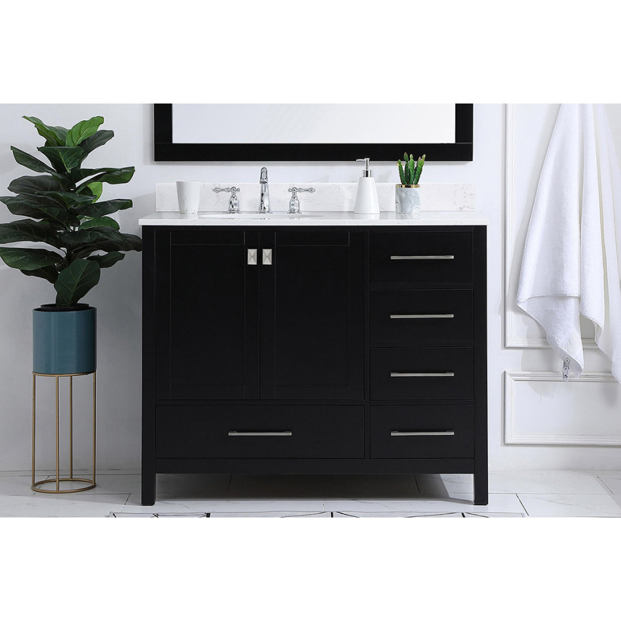 Elegant Bathroom Vanity - Black (VF18842BK-BS)