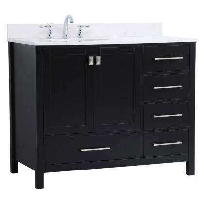 Elegant Bathroom Vanity - Black (VF18842BK-BS)