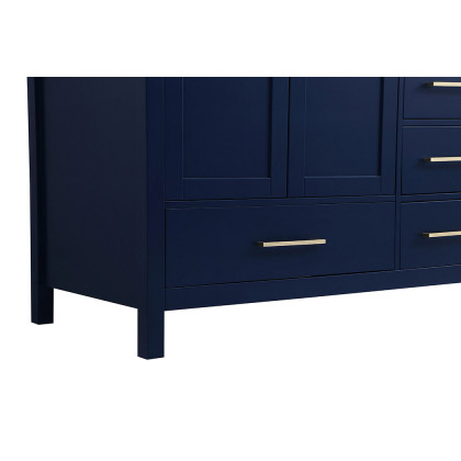 Elegant Bathroom Vanity - Blue (VF18842BL)
