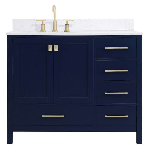 Elegant Bathroom Vanity - Blue (VF18842BL-BS)