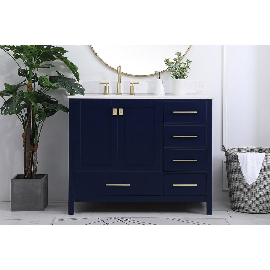 Elegant Bathroom Vanity - Blue (VF18842BL-BS)