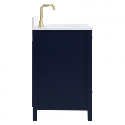 Elegant Bathroom Vanity - Blue (VF18842BL-BS)