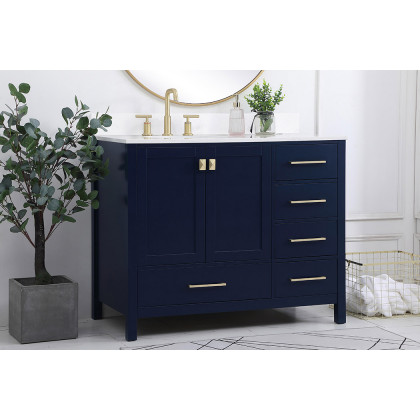 Elegant Bathroom Vanity - Blue (VF18842BL-BS)
