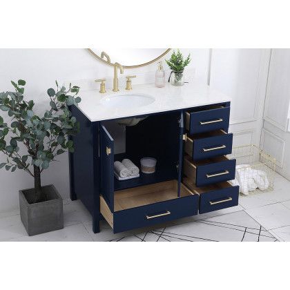 Elegant Bathroom Vanity - Blue (VF18842BL-BS)