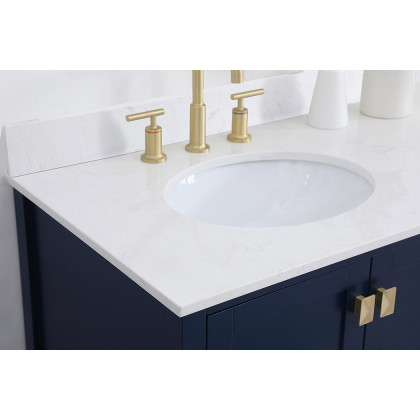 Elegant Bathroom Vanity - Blue (VF18842BL-BS)