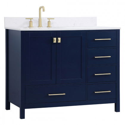 Elegant Bathroom Vanity - Blue (VF18842BL-BS)