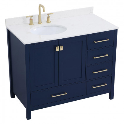 Elegant Bathroom Vanity - Blue (VF18842BL-BS)
