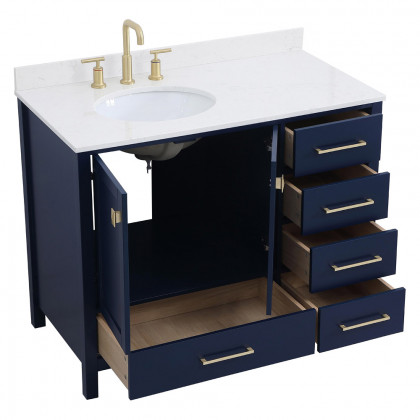 Elegant Bathroom Vanity - Blue (VF18842BL-BS)