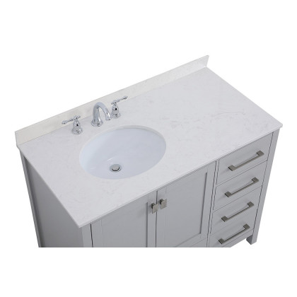 Elegant Bathroom Vanity - Gray (VF18842GR-BS)