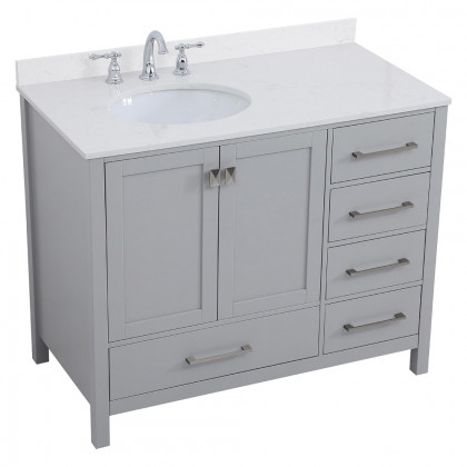 Elegant Bathroom Vanity - Gray (VF18842GR-BS)