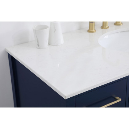 Elegant Bathroom Vanity - Blue (VF18848BL)
