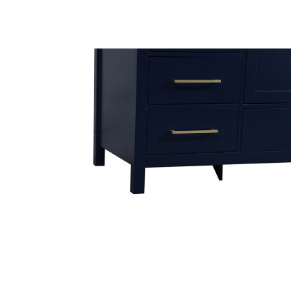Elegant Bathroom Vanity - Blue (VF18860BL)