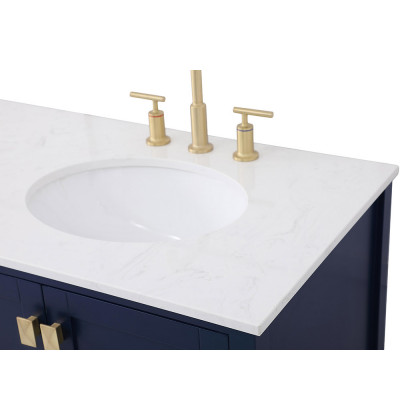 Elegant Bathroom Vanity - Blue (VF18872DBL)