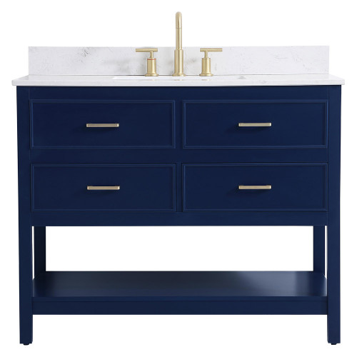 Elegant Bathroom Vanity - Blue (VF19042BL-BS)