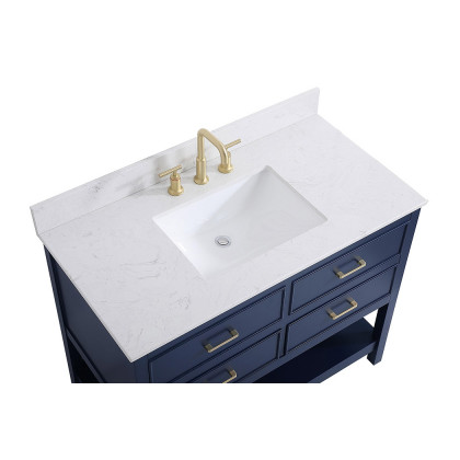 Elegant Bathroom Vanity - Blue (VF19042BL-BS)
