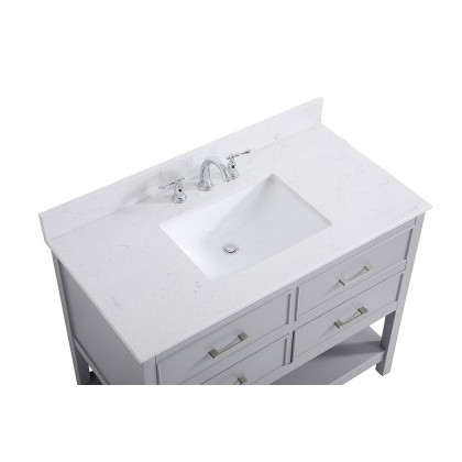Elegant Bathroom Vanity - Gray (VF19042GR-BS)