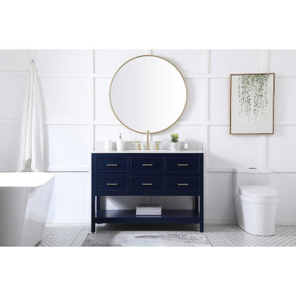 Elegant Bathroom Vanity - Blue (VF19048BL-BS)