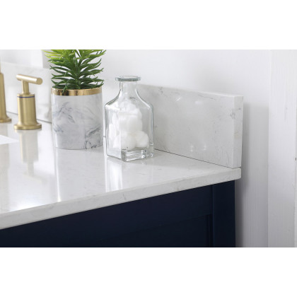 Elegant Bathroom Vanity - Blue (VF19048BL-BS)