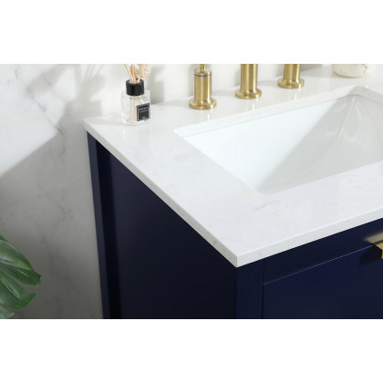 Elegant Bathroom Vanity - Blue (VF19224BL)