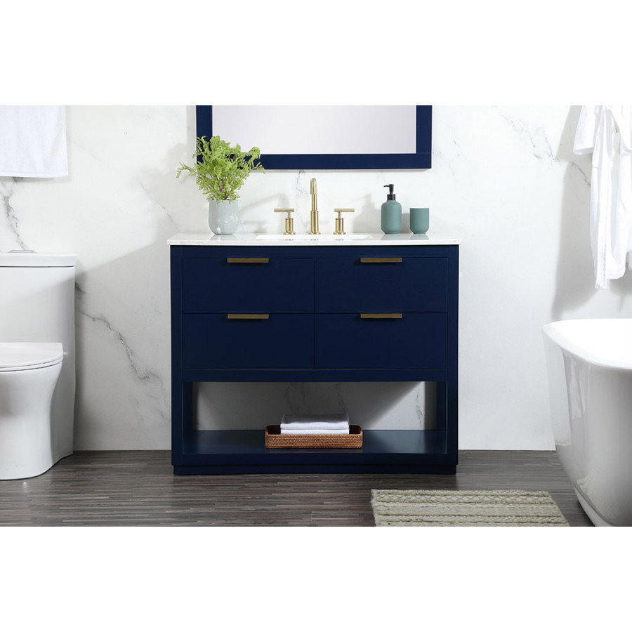 Elegant Bathroom Vanity - Blue (VF19242BL)