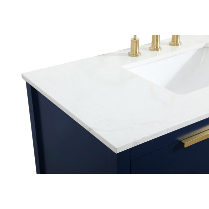 Elegant Bathroom Vanity - Blue (VF19242BL)