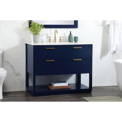 Elegant Bathroom Vanity - Blue (VF19242BL)