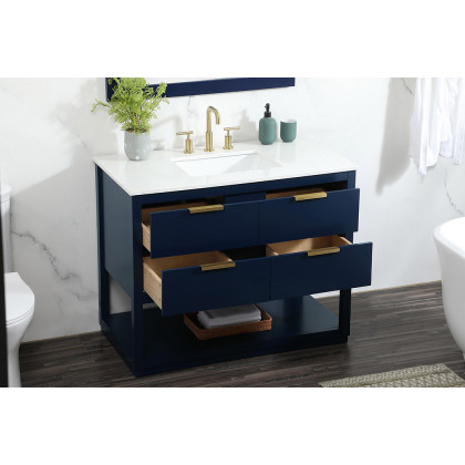 Elegant Bathroom Vanity - Blue (VF19242BL)