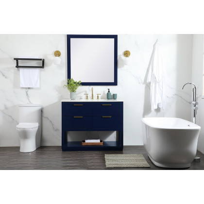 Elegant Bathroom Vanity - Blue (VF19242BL)