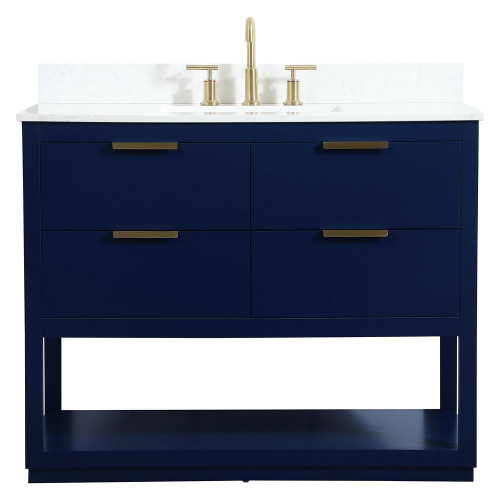 Elegant Bathroom Vanity - Blue (VF19242BL-BS)