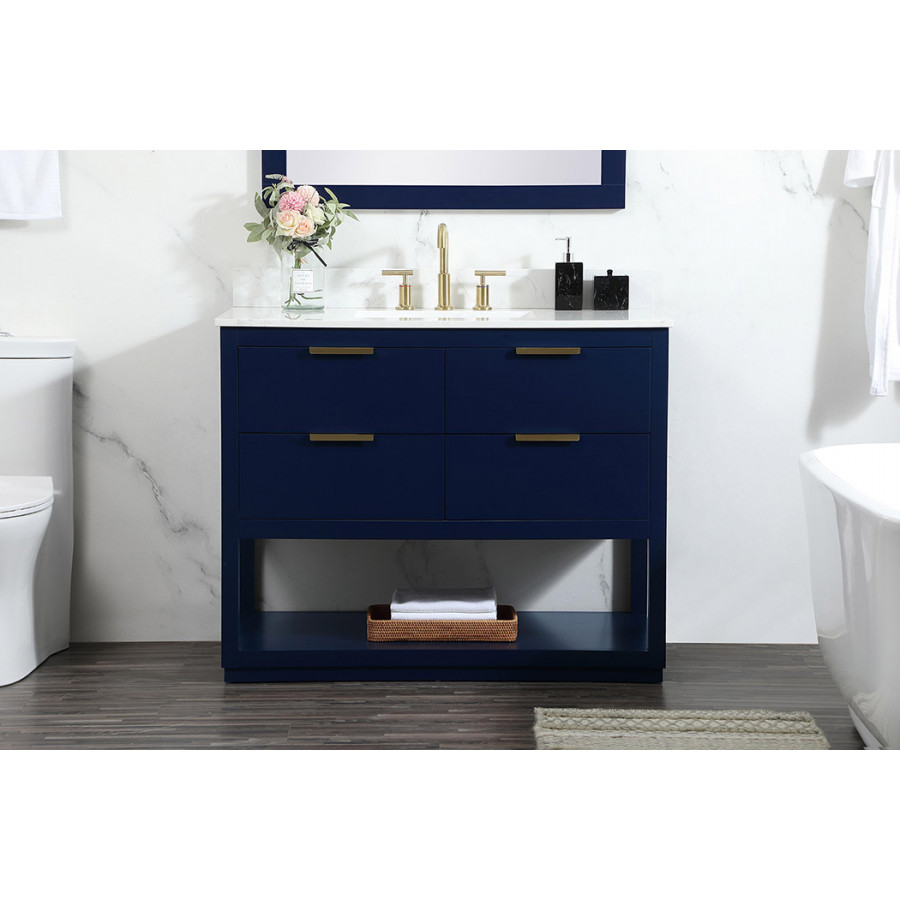Elegant Bathroom Vanity - Blue (VF19242BL-BS)