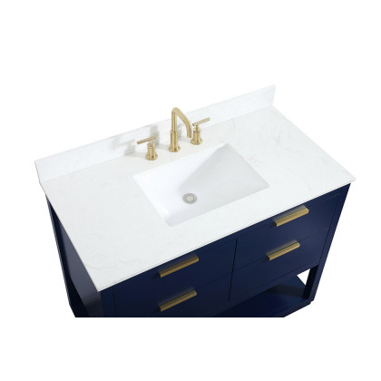 Elegant Bathroom Vanity - Blue (VF19242BL-BS)