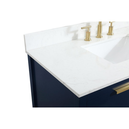 Elegant Bathroom Vanity - Blue (VF19242BL-BS)