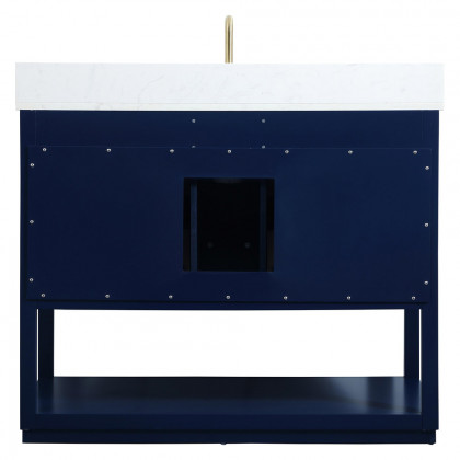 Elegant Bathroom Vanity - Blue (VF19242BL-BS)