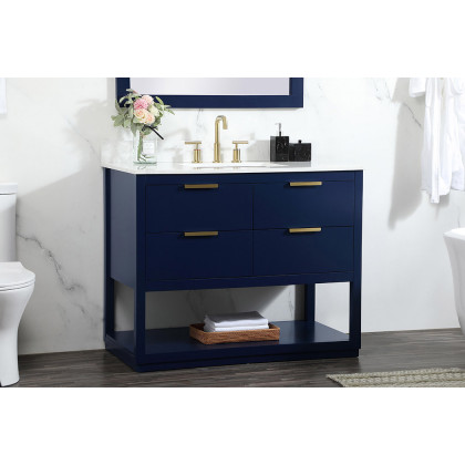 Elegant Bathroom Vanity - Blue (VF19242BL-BS)