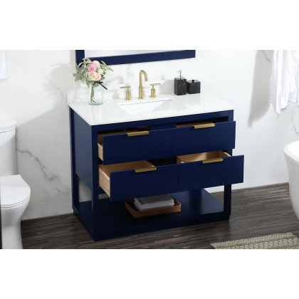 Elegant Bathroom Vanity - Blue (VF19242BL-BS)