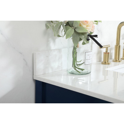 Elegant Bathroom Vanity - Blue (VF19242BL-BS)