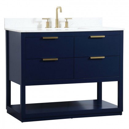 Elegant Bathroom Vanity - Blue (VF19242BL-BS)