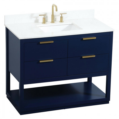 Elegant Bathroom Vanity - Blue (VF19242BL-BS)