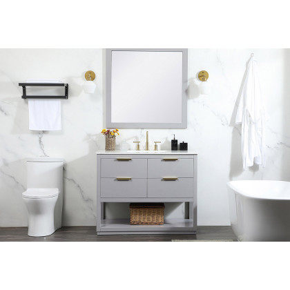 Elegant Bathroom Vanity - Gray (VF19242GR)