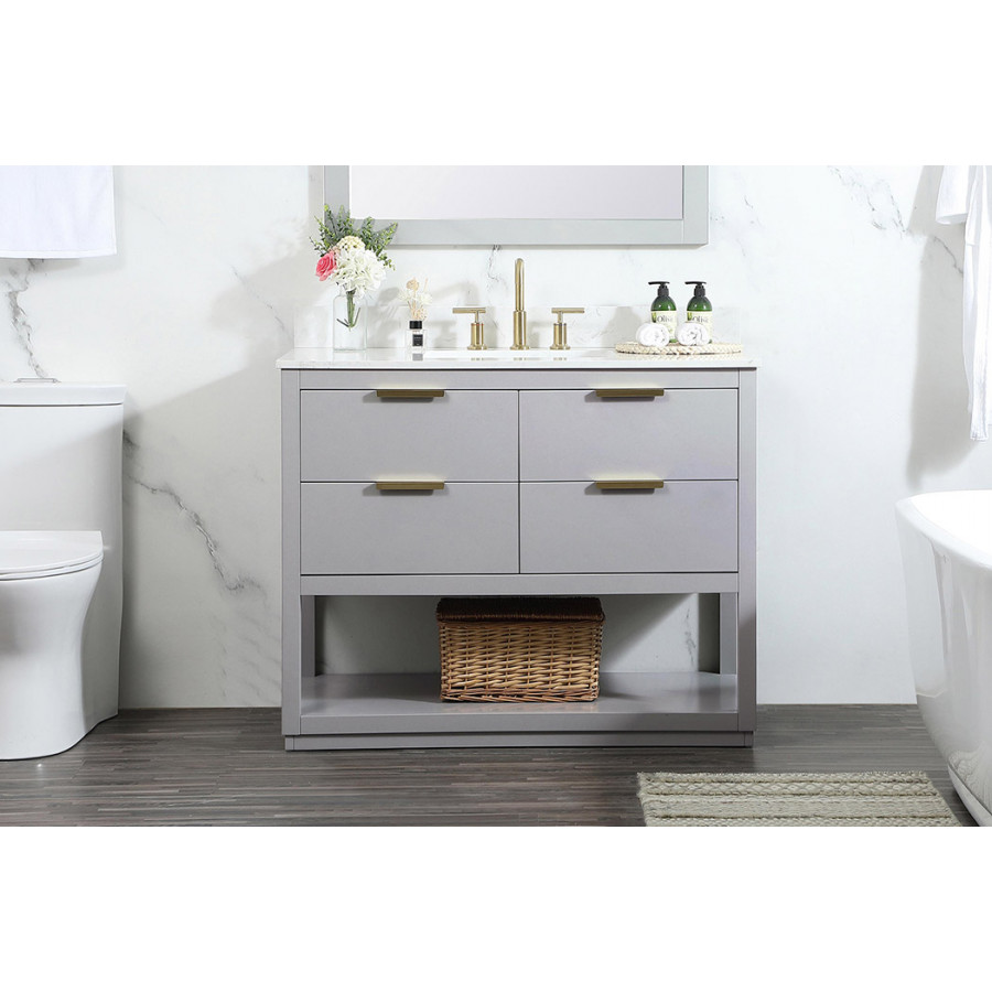 Elegant Bathroom Vanity - Gray (VF19242GR-BS)