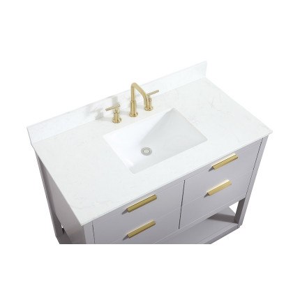 Elegant Bathroom Vanity - Gray (VF19242GR-BS)